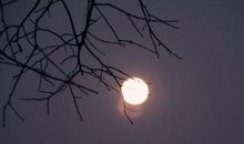 记忆中的那轮明月