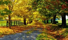 留住心底的风景