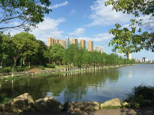 春天的北湖公园