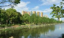 春天的北湖公园