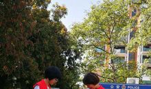 美丽的名人广场