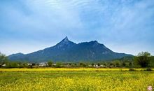 这里的乡村真美