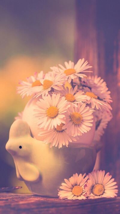 心花