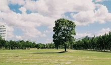 今天我多了一分独立