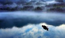 寄蜉蝣于天地渺沧海之一粟