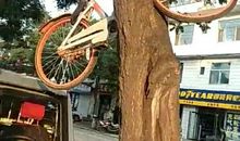 文明出行，文明做人