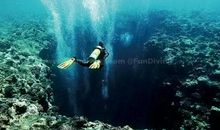 精美奇妙的“百岁子”