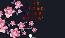 走着走着花儿谢了