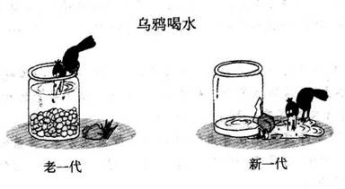 乌鸦喝水漫画