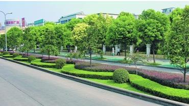 城市绿化