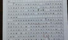 成长作文600字记叙文