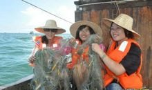 难忘那次出海捕蟹