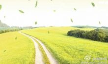 青春路上洒满阳光