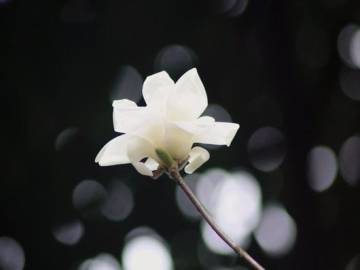 生活需要错过