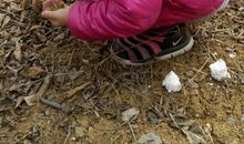 奶奶家的小树林