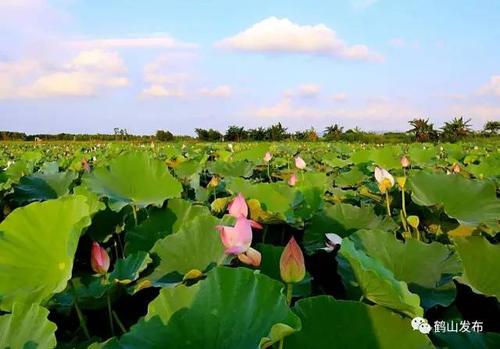 使我心动的季节