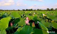 令我心动的季节