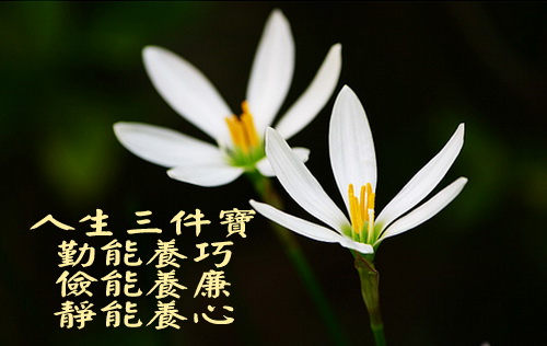 追求安静节俭