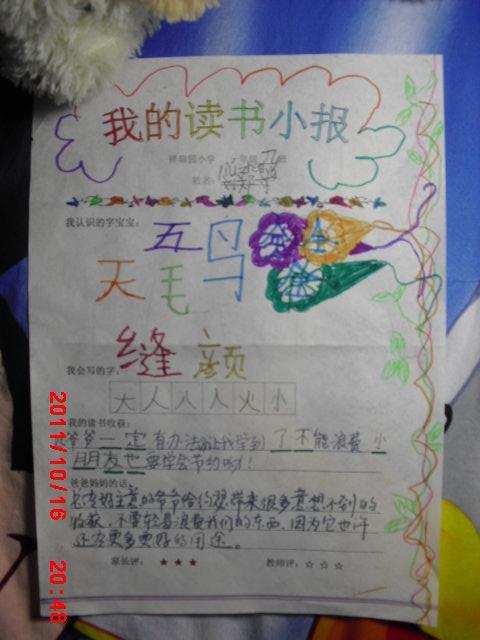 一本书中的爱