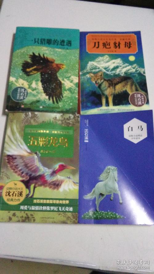 七彩龙鸟阅读报告