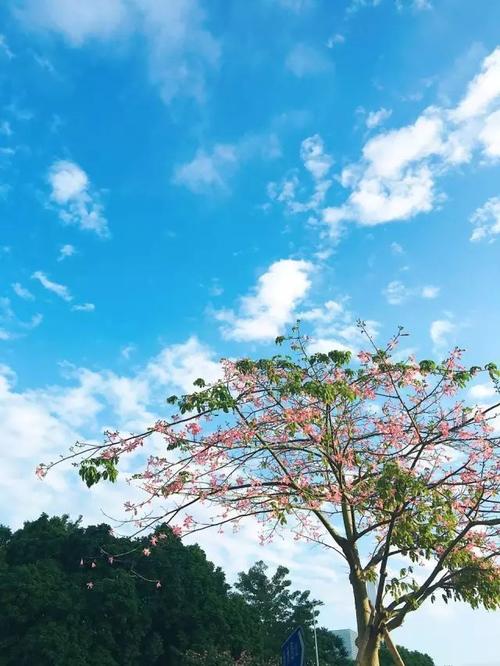 温暖的阳光