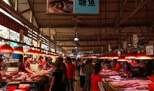 我家附近的菜市场