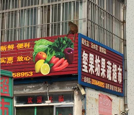超市里的动物园