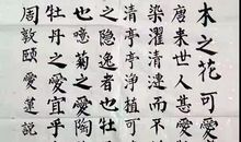 点燃激情，成就梦想