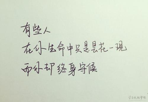 小句子，大理由