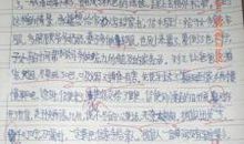 牧童改写成一篇短文300字