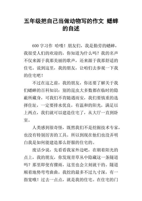 describing描述