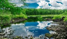 家乡四季令人心醉