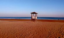 愉快的金沙滩之旅