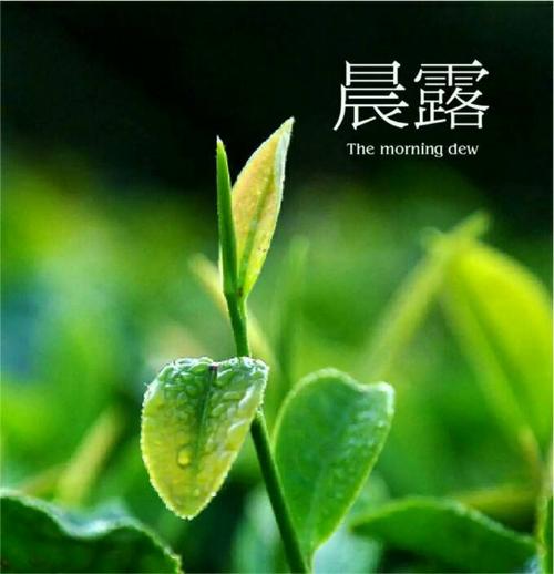 你真美