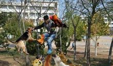 给思想一双翅膀