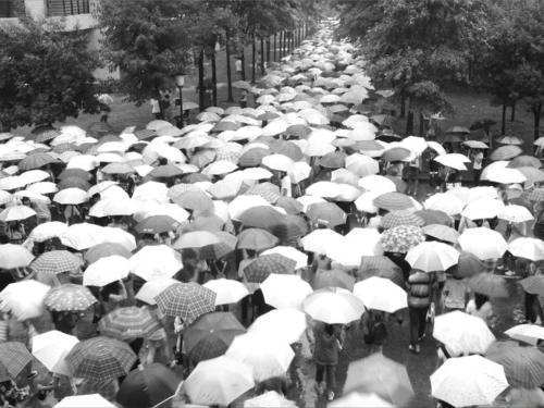 伞在雨中倾斜