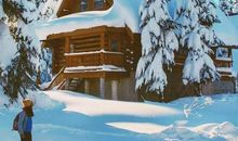 胜似亲人——小木屋的温暖