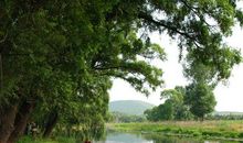 家乡的小河，让我驻足