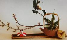 又听见花开的声音