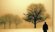 那个远去的背影