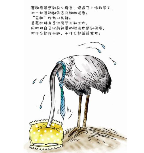 生活的乐趣