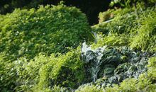 成为大自然中的一员