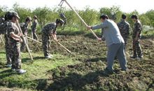 一次学农的体验