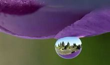 做生活的有心人