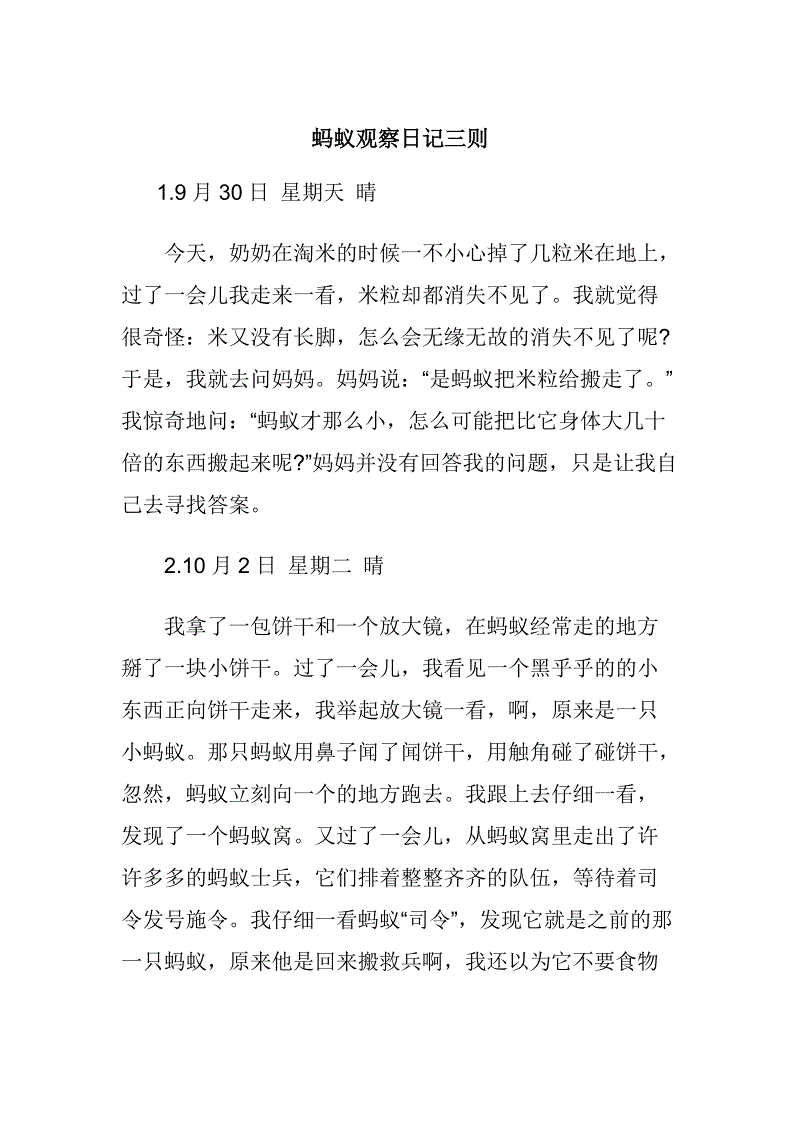 观察日记