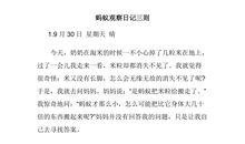 观察日记一则