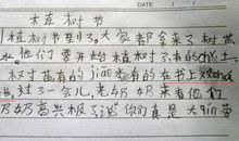 五年级错别字作文