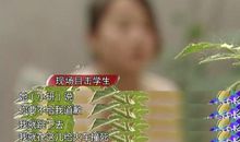 耐挫的青春最美丽