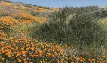 一个温馨的夜晚