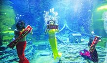 长春的海底世界